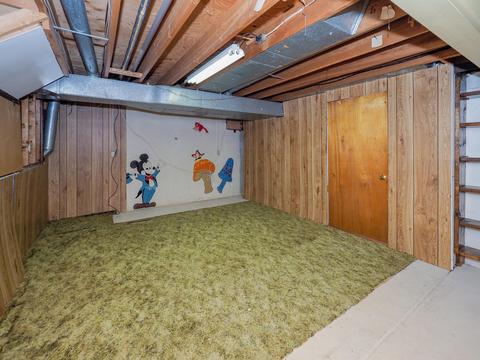 411 6th St, Plainwell, MI 49080 photo 21