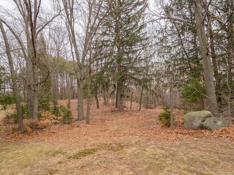 411 6th St, Plainwell, MI 49080 photo 25
