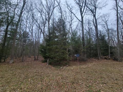 4276 Maple Ave, Brethren, MI 49619 photo 27