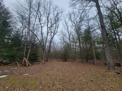 4276 Maple Ave, Brethren, MI 49619 photo 28