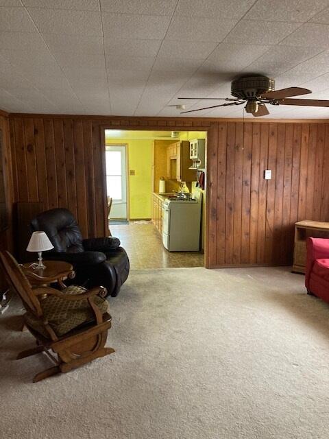 10141 Suzanne Dr, Harrison, MI 48625 photo 13