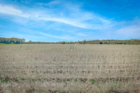 404 Prairie River Rd, Bronson, MI 49028 photo 10