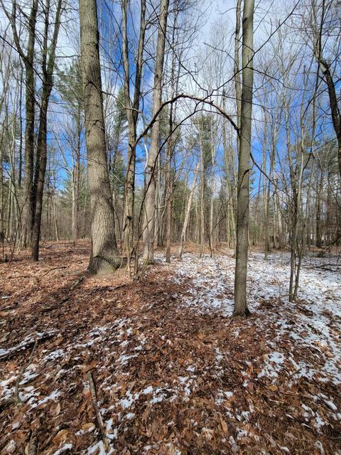 14671 State Rd, Spring Lake, MI 49456 photo 13