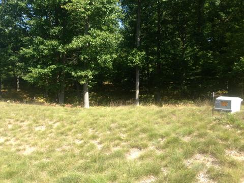 20 Lot Novadoc Blvd, Mears, MI 49436