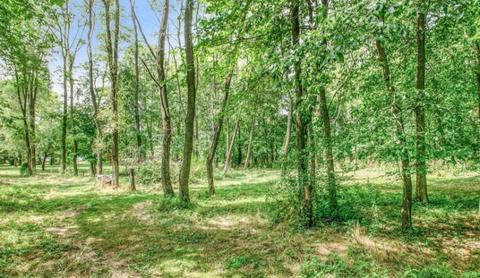 4886 Whites Bridge Rd, Belding, MI 48809 photo 5