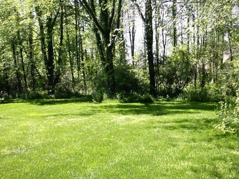 16337 Emily Corlett, Marshall, MI 49068 photo 19