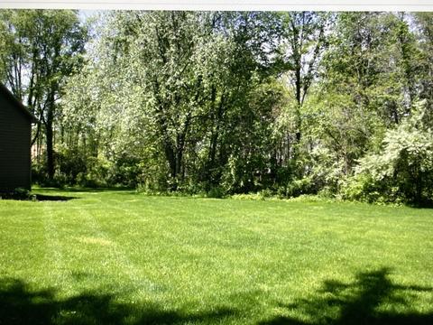 16337 Emily Corlett, Marshall, MI 49068 photo 17