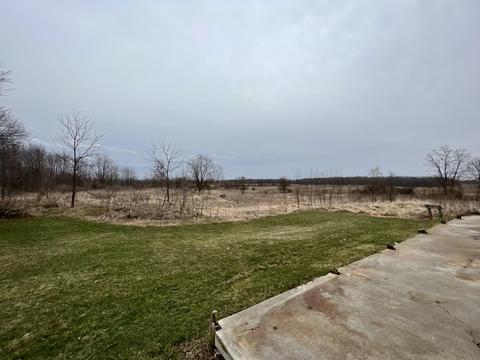 10051 Beecher Rd, Pittsford, MI 49271 photo 45