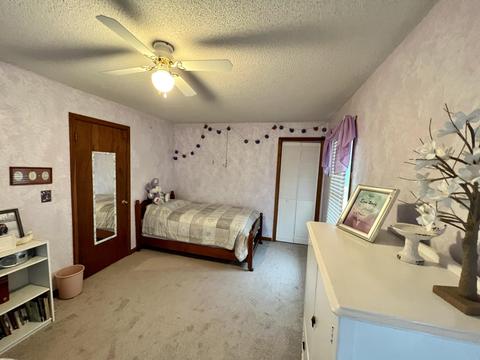 10051 Beecher Rd, Pittsford, MI 49271 photo 25