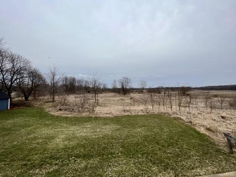 10051 Beecher Rd, Pittsford, MI 49271 photo 46
