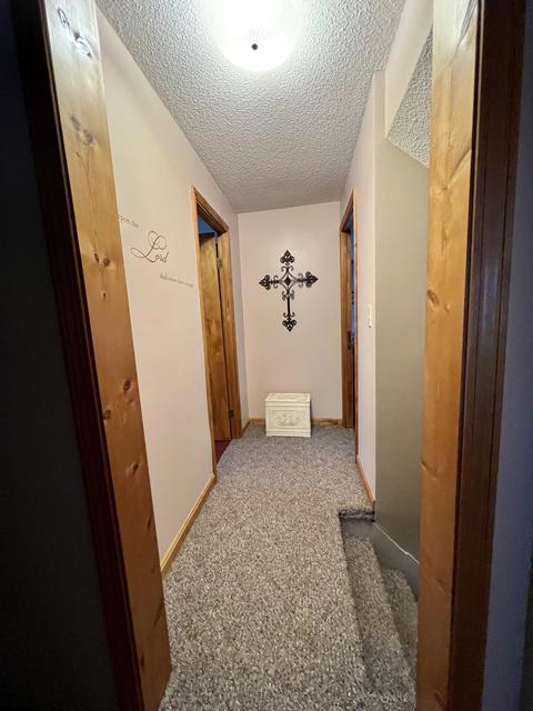 10051 Beecher Rd, Pittsford, MI 49271 photo 27