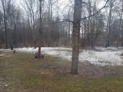 2730 Garfield Rd, Remus, MI 49340 photo 11