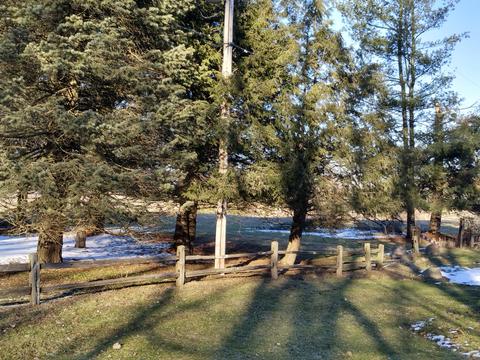 6455 W Starr Rd, Three Oaks, MI 49128 photo 2