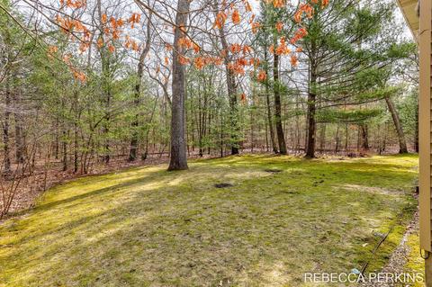 3053 Forest View Dr, Hamilton, MI 49419 photo 44