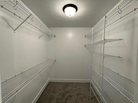 10752 School View Ave, Allendale, MI 49401 photo 11