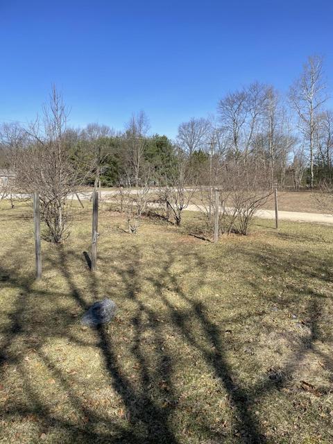 6100 N Oak Ave, White Cloud, MI 49349 photo 7
