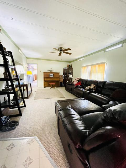 6100 N Oak Ave, White Cloud, MI 49349 photo 17