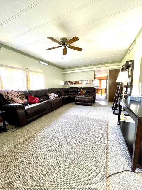 6100 N Oak Ave, White Cloud, MI 49349 photo 19