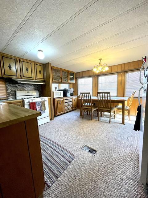 6100 N Oak Ave, White Cloud, MI 49349 photo 11