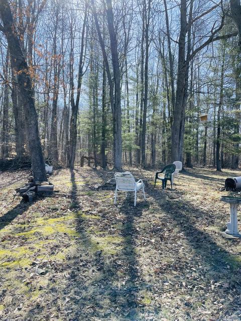 6100 N Oak Ave, White Cloud, MI 49349 photo 9