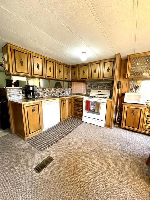 6100 N Oak Ave, White Cloud, MI 49349 photo 13
