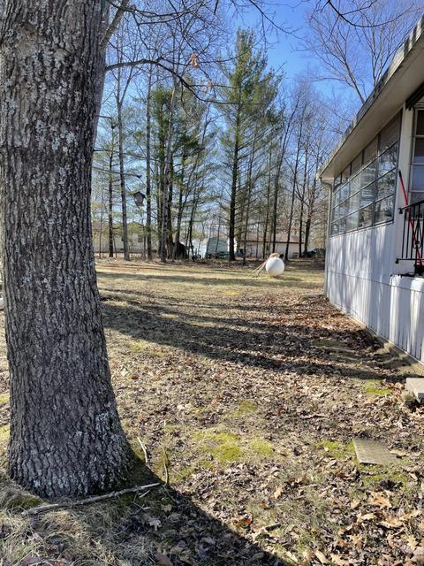 6100 N Oak Ave, White Cloud, MI 49349 photo 8