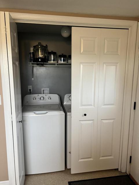 281 Dickerson Vw SW, Stanton, MI 48888 photo 18