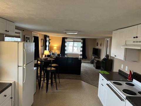 281 Dickerson Vw SW, Stanton, MI 48888 photo 17
