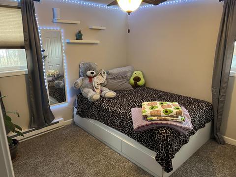 281 Dickerson Vw SW, Stanton, MI 48888 photo 13