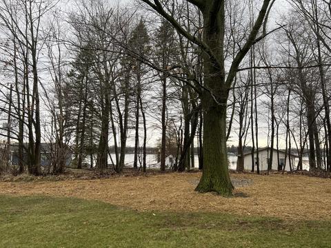281 Dickerson Vw SW, Stanton, MI 48888 photo 5