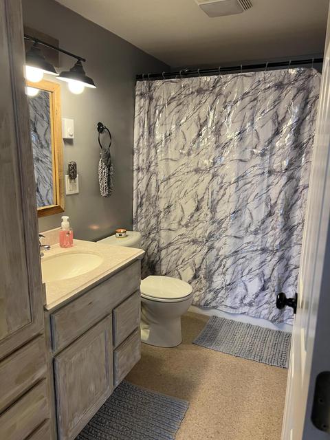 281 Dickerson Vw SW, Stanton, MI 48888 photo 14