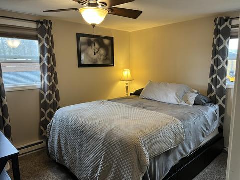 281 Dickerson Vw SW, Stanton, MI 48888 photo 10