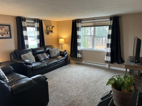 281 Dickerson Vw SW, Stanton, MI 48888 photo 6