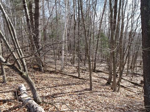 5283 Frederick Rd, Arcadia, MI 49613 photo 27