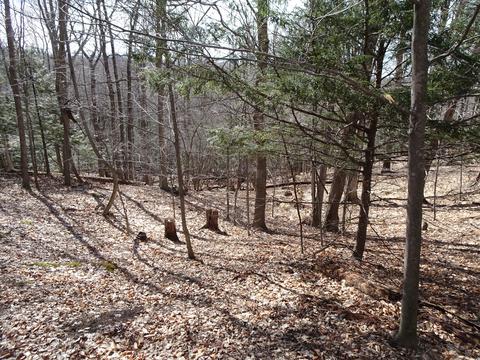 5283 Frederick Rd, Arcadia, MI 49613 photo 28