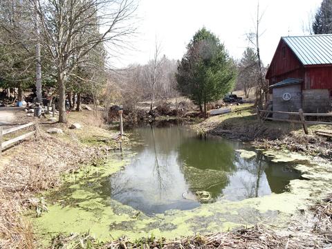 5283 Frederick Rd, Arcadia, MI 49613 photo 6