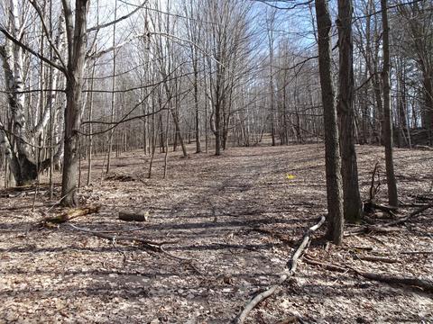 5283 Frederick Rd, Arcadia, MI 49613 photo 30