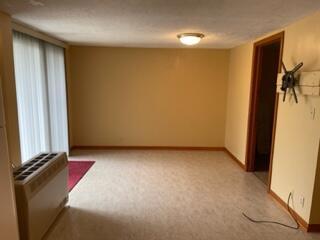183 Grove St S, Stanton, MI 48888 photo 6