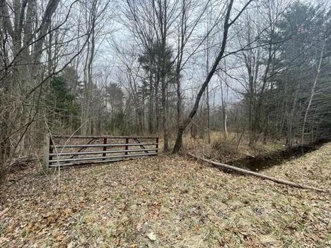 V/l Taft Street, Fruitport, MI 49415