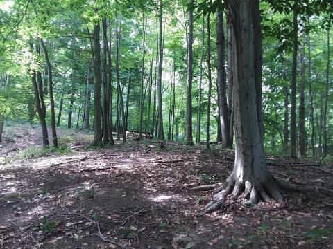 V/l Hermitage Avenue, Ludington, MI 49431