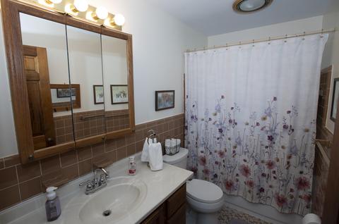 3456 Northlands Ave, Jackson, MI 49201 photo 15