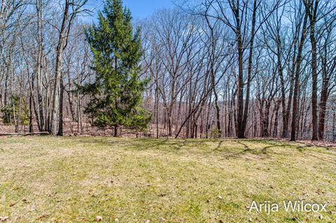 42 Deer Run Dr NE, Ada, MI 49301 photo 47