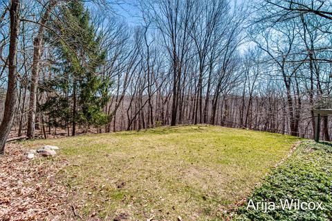 42 Deer Run Dr NE, Ada, MI 49301 photo 45
