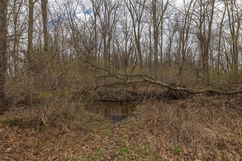 66947 Patterson Rd, Constantine, MI 49042 photo 43