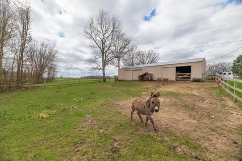 66947 Patterson Rd, Constantine, MI 49042 photo 38