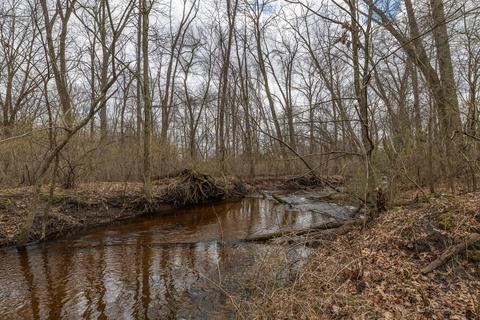 66947 Patterson Rd, Constantine, MI 49042 photo 44