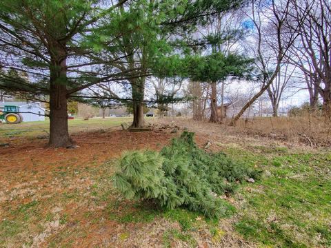 8602 Lansing Ave, Jackson, MI 49201 photo 23