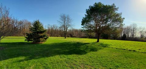 10690 N 45th St, Augusta, MI 49012 photo 82