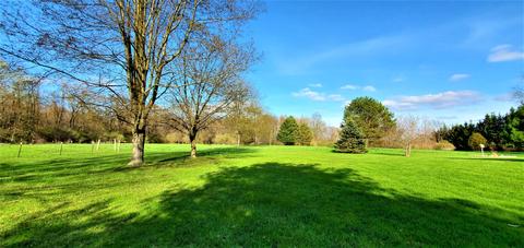 10690 N 45th St, Augusta, MI 49012 photo 13