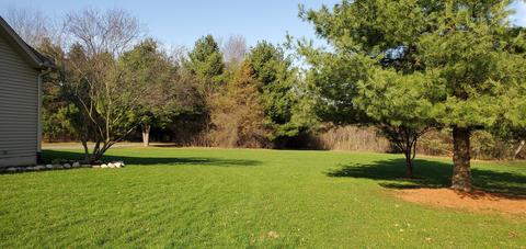 10690 N 45th St, Augusta, MI 49012 photo 83